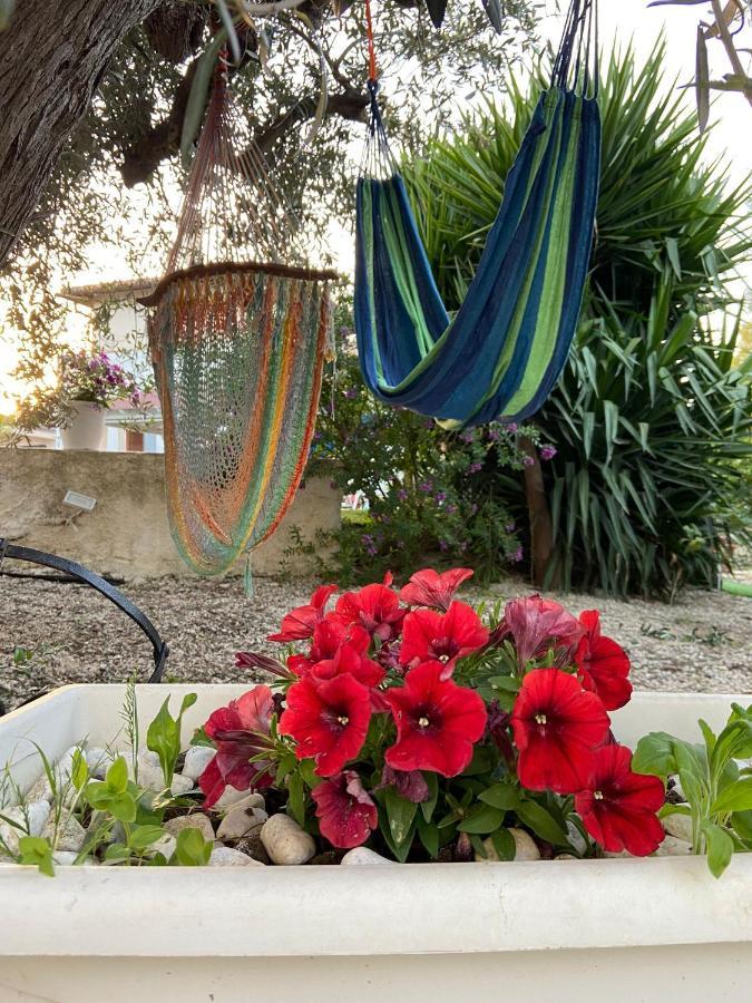 Ferienwohnung La Casa Di Gioggio Ioppolo Giancaxio Exterior foto